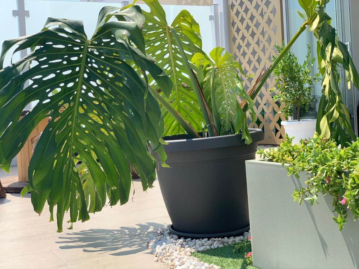 Dalu Suite Terrace Bari Exterior foto